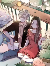 猫街十三号漫画改编动画免费看封面